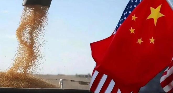 美国30万吨大豆换上包装出口中国中方做法太解气